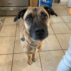 Meet your Posher, Kim